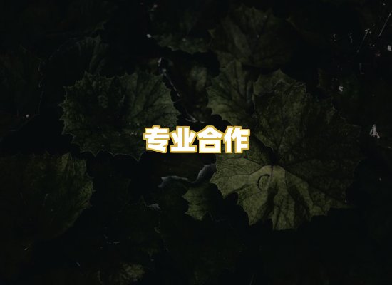 专业合作