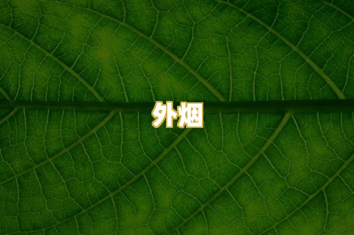 外烟